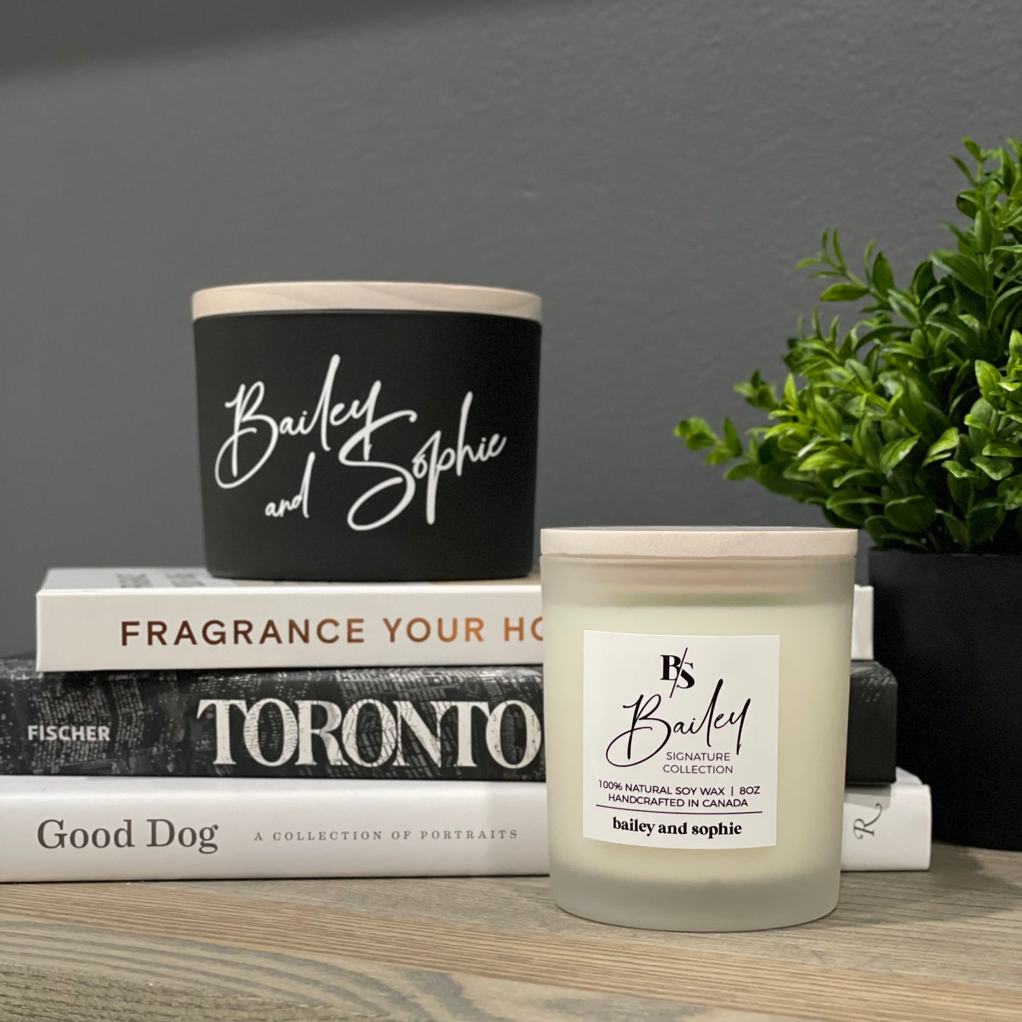 
                  
                    BAILEY SOY CANDLE | sweet berries + cotton candy + vanilla
                  
                